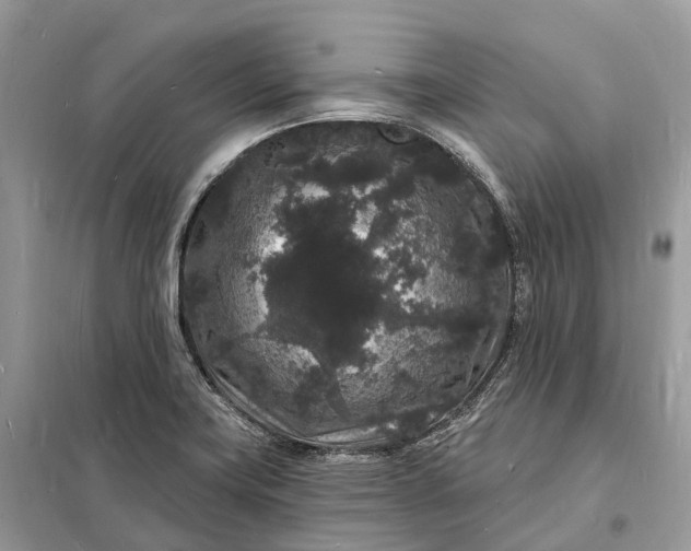 X0000098231419200805081211