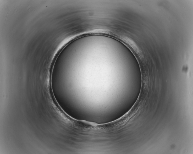 X0000098231420200805081211