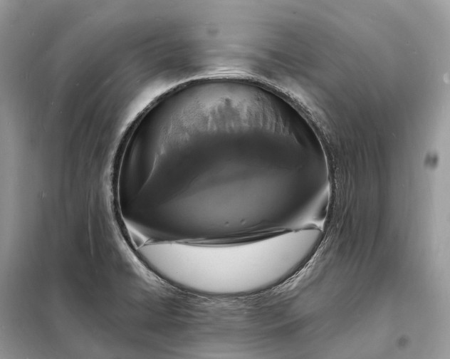 X0000098231422200805081211