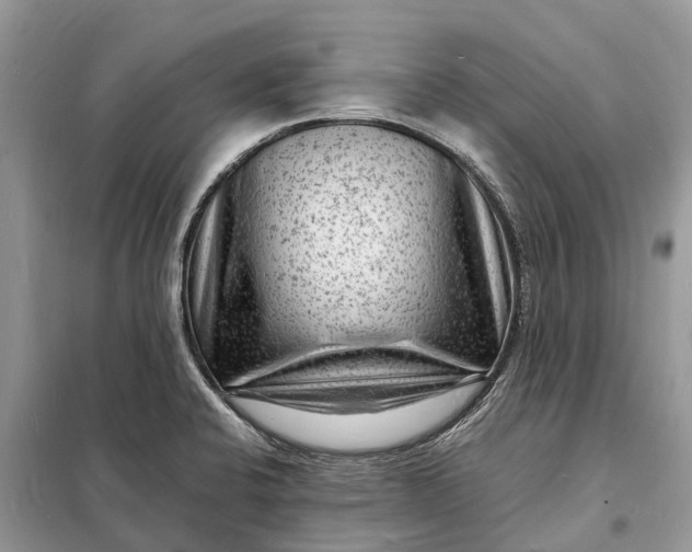X0000098231424200805081211