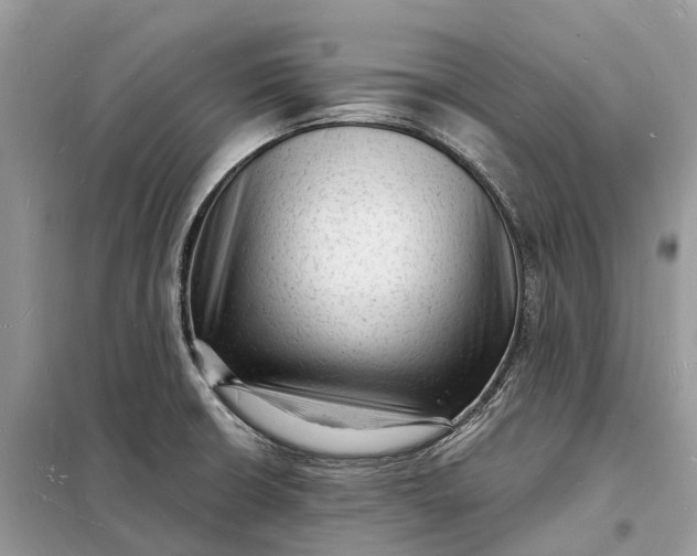 X0000098231426200805081211