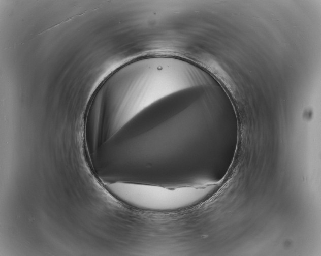 X0000098231428200805081211