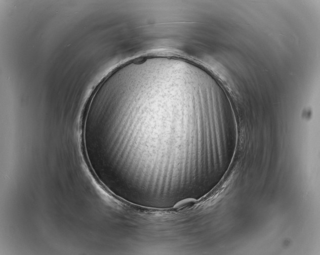 X0000098231430200805081211