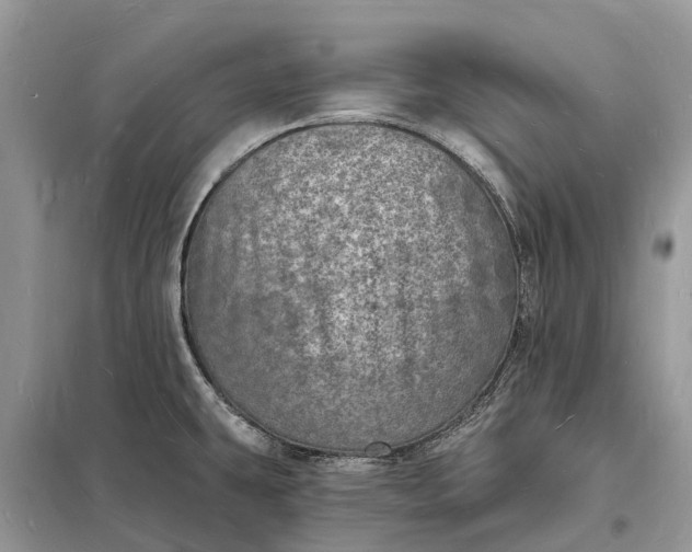 X0000098231431200805081211