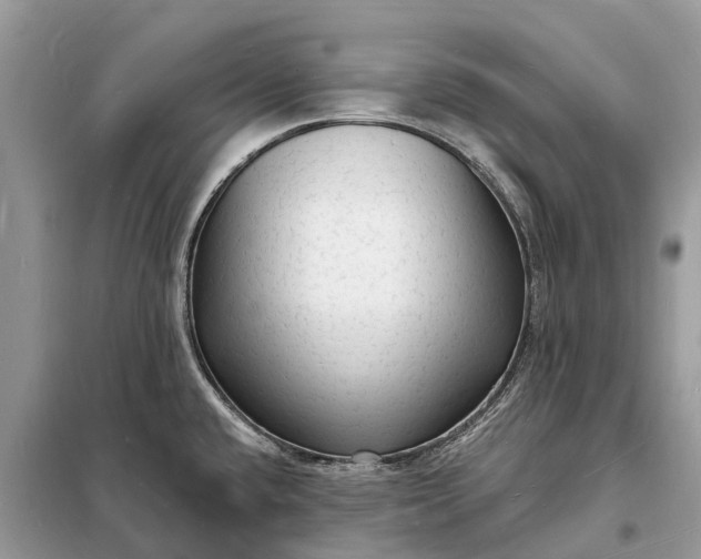 X0000098231432200805081211