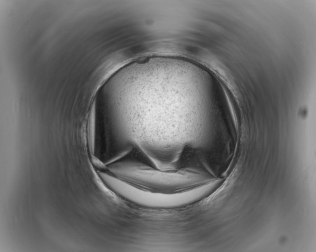 X0000098231433200805081211