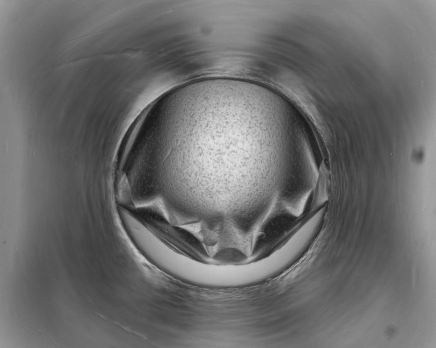 X0000098231434200805081211