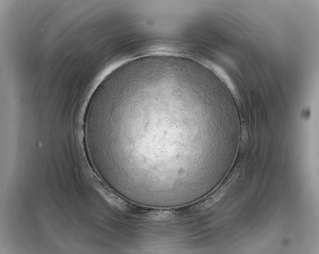 X0000098231435200805081211