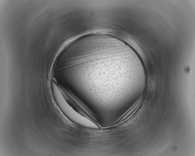 X0000098231436200805081211