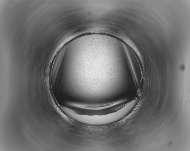 X0000098231437200805081211