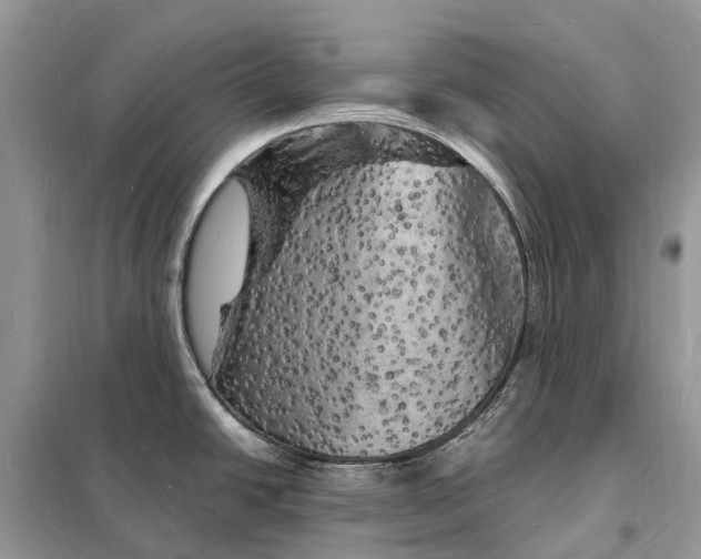 X0000098231438200805081211