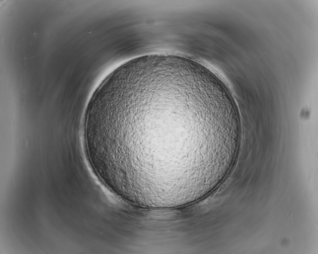 X0000098231440200805081211