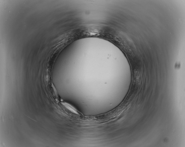 X0000098231442200805081211
