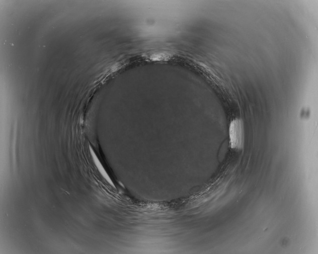X0000098231443200805081211