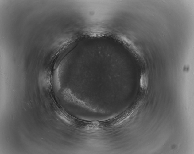 X0000098231444200805081211