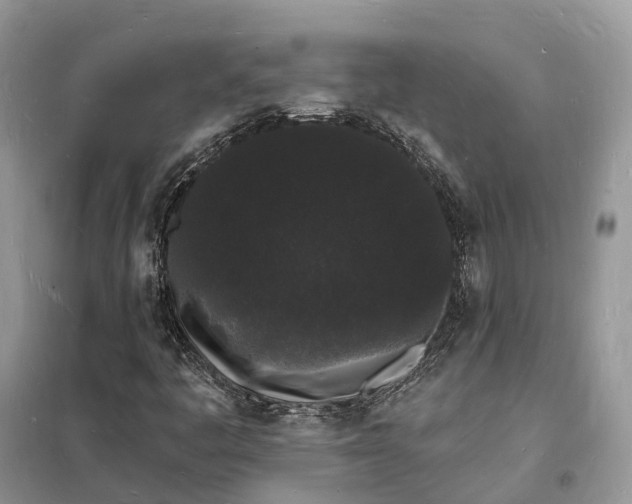 X0000098231445200805081211