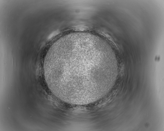 X0000098231446200805081211
