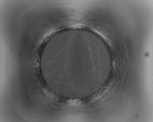 X0000098231447200805081211