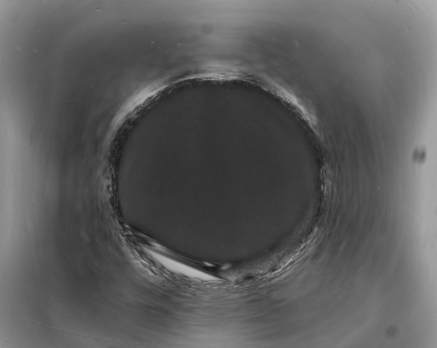 X0000098231448200805081211