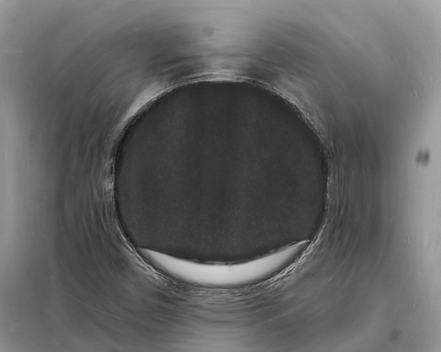 X0000098231450200805081211