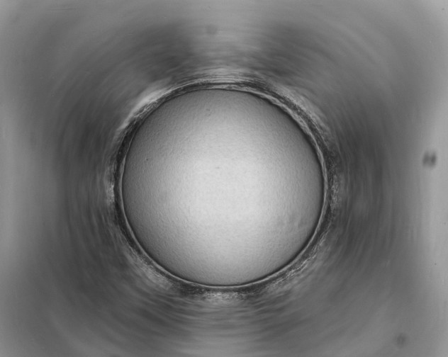 X0000098231451200805081211
