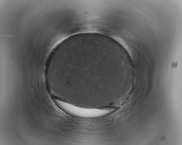 X0000098231452200805081211