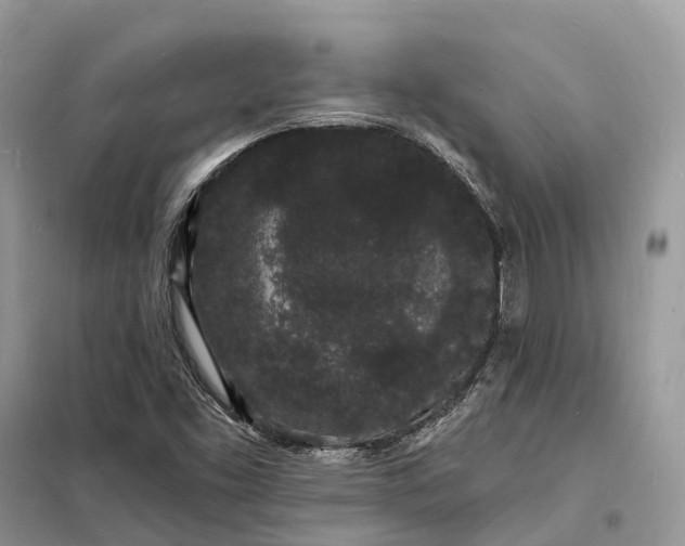 X0000098231453200805081211