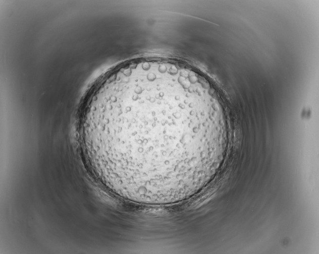 X0000098231454200805081211