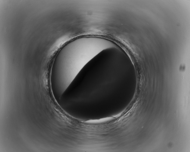 X0000098231455200805081211