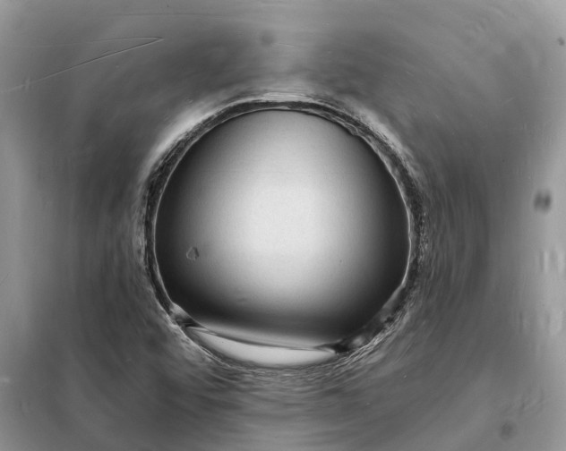 X0000098231456200805081210