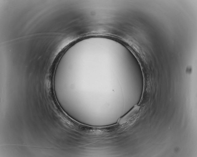 X0000098231458200805081210