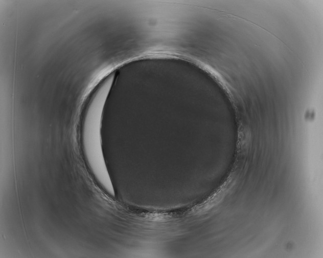 X0000098231461200805081210