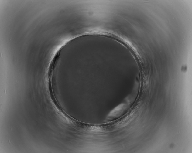 X0000098231463200805081210