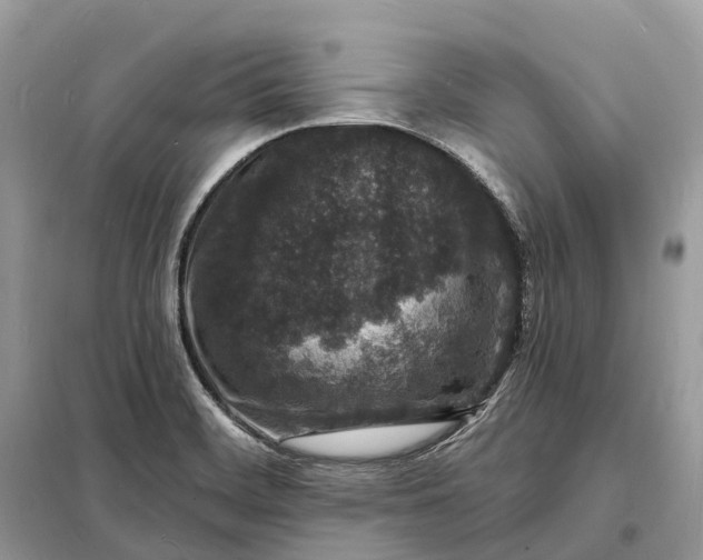X0000098231468200805081210