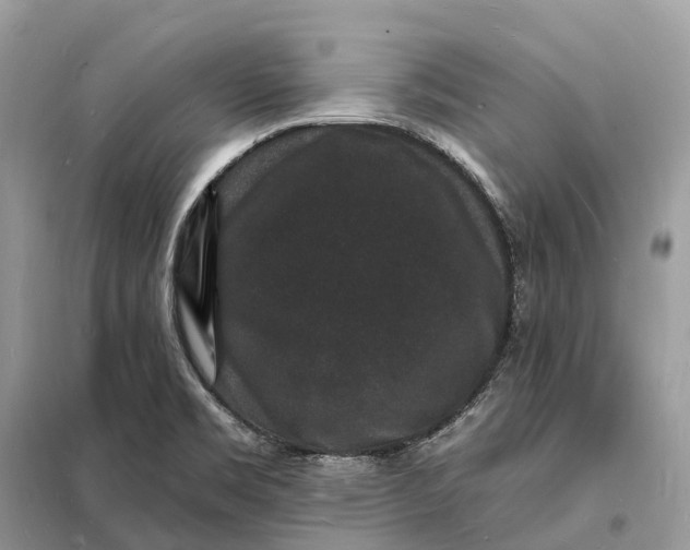 X0000098231469200805081210