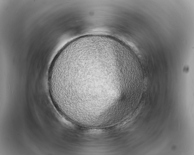 X0000098231470200805081210