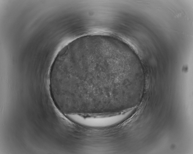 X0000098231471200805081210