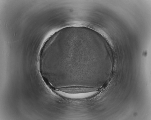 X0000098231472200805081210