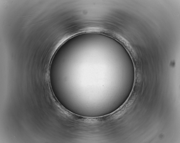 X0000098231473200805081210