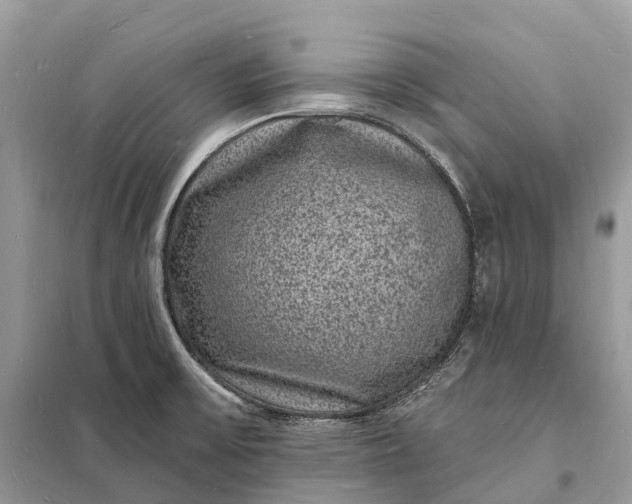 X0000098231475200805081210
