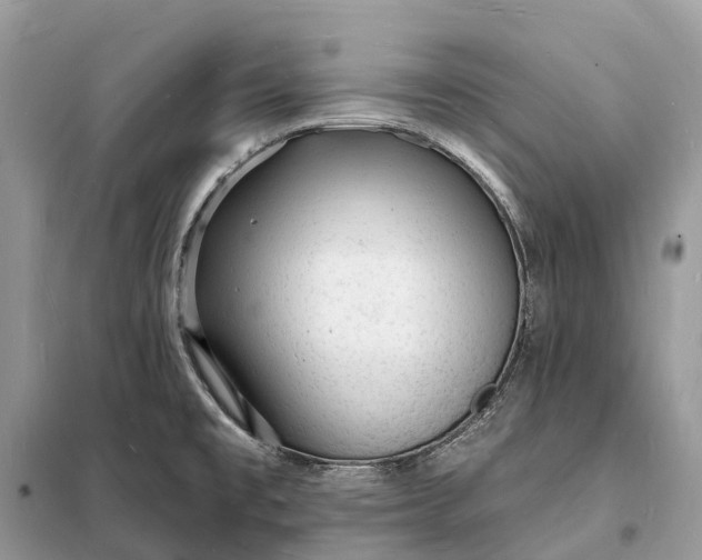 X0000098231477200805081210