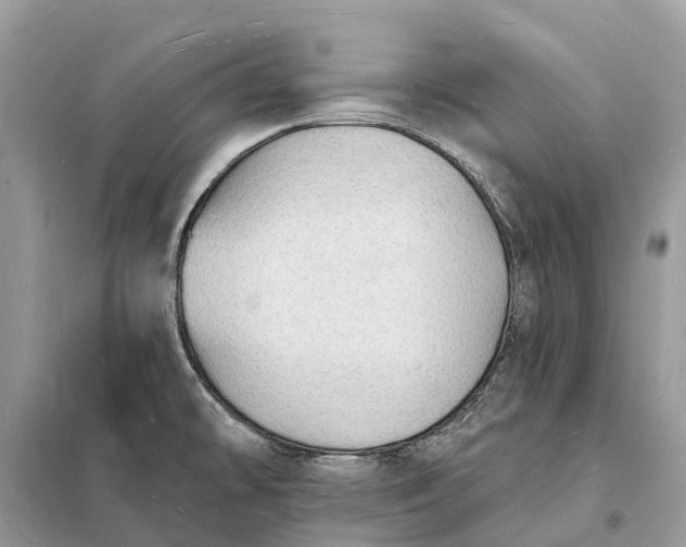 X0000098231478200805081210