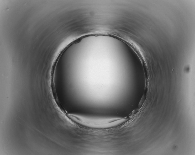 X0000098231480200805081210