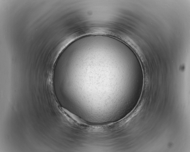 X0000098231481200805081210
