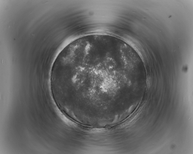 X0000098231482200805081210