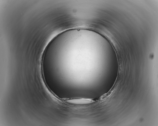 X0000098231483200805081210