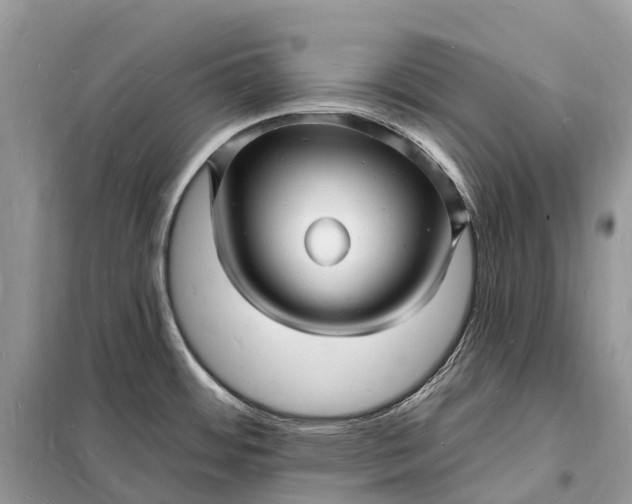 X0000098231484200805081210