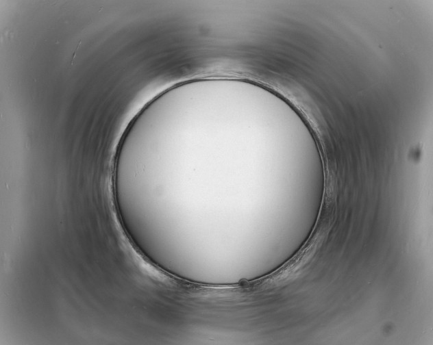 X0000098231486200805081210