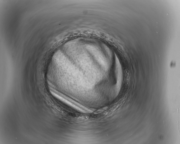 X0000098231489200805081209