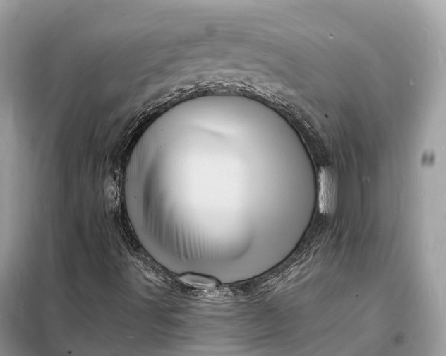 X0000098231491200805081209
